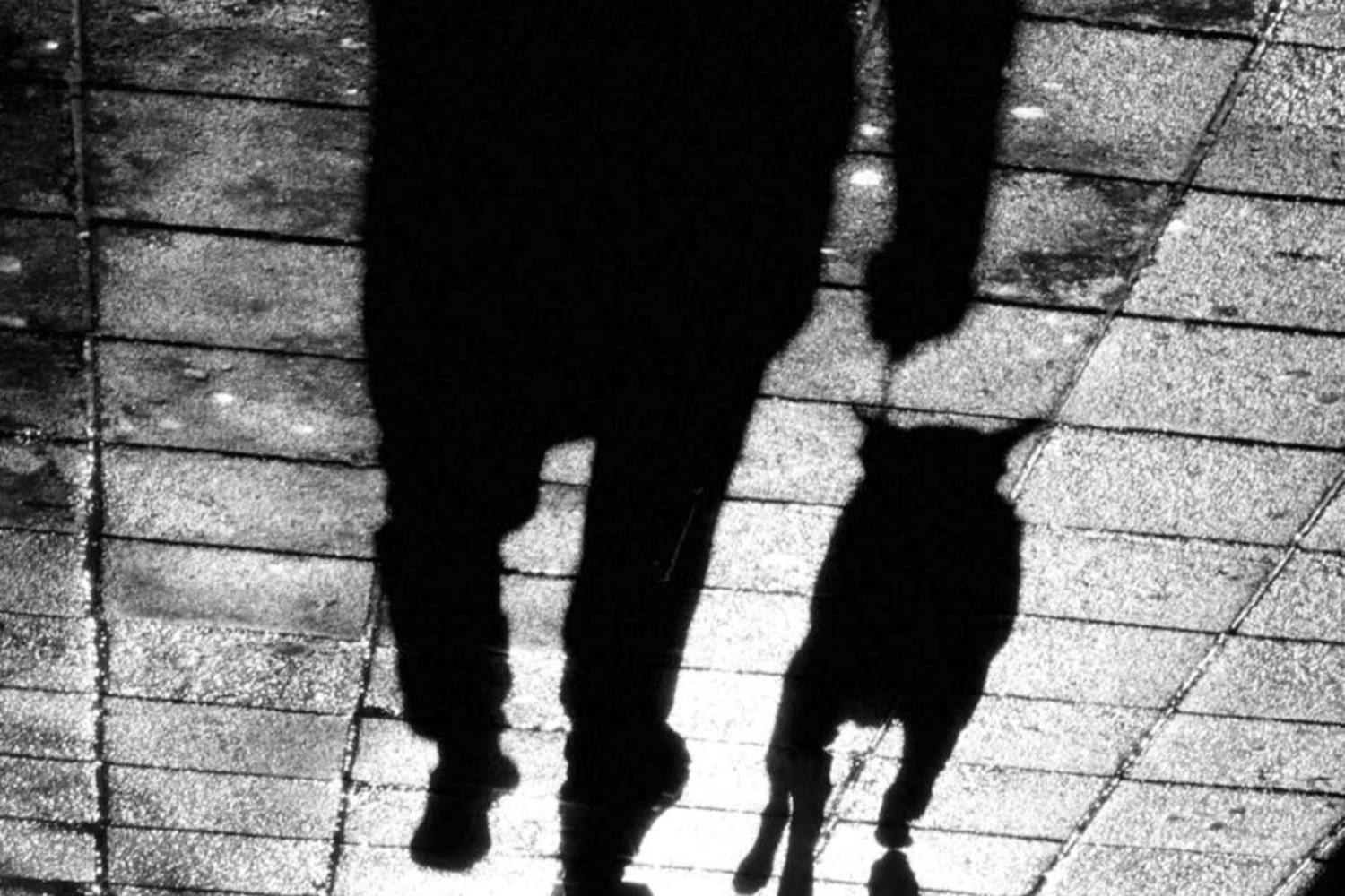 Ombre di cane e di uomo