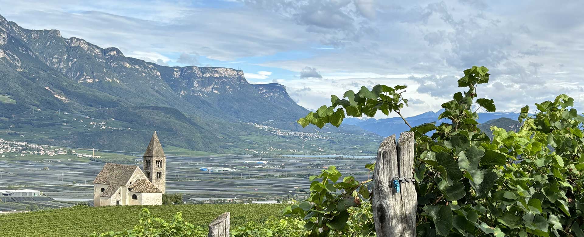 panorama, vigna, monti