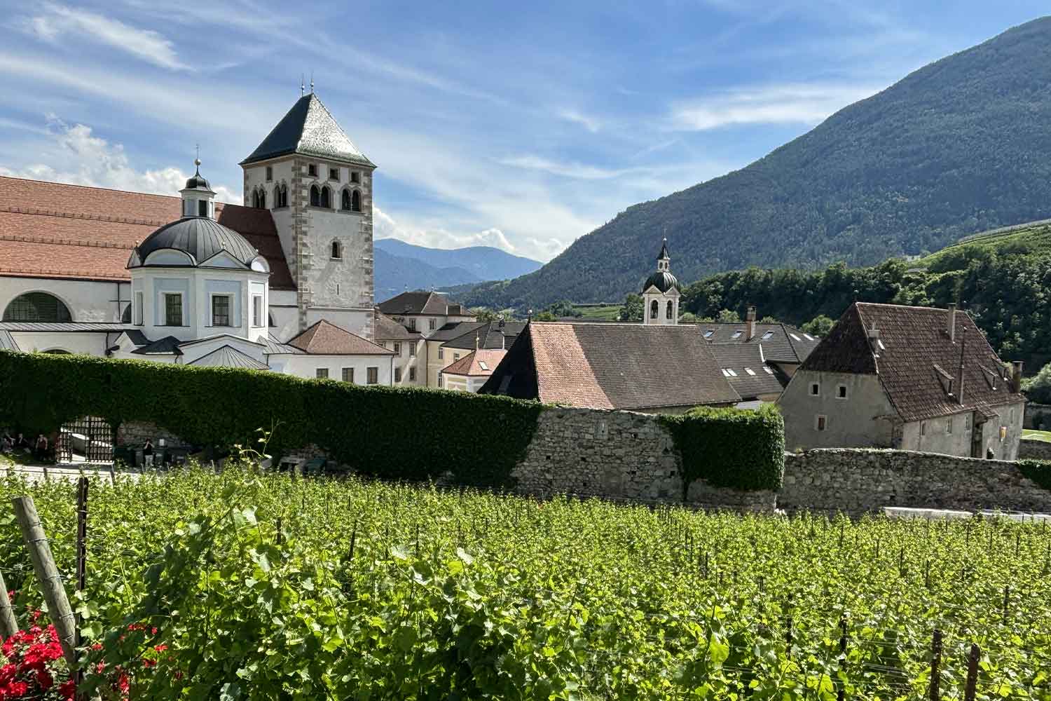 panorama