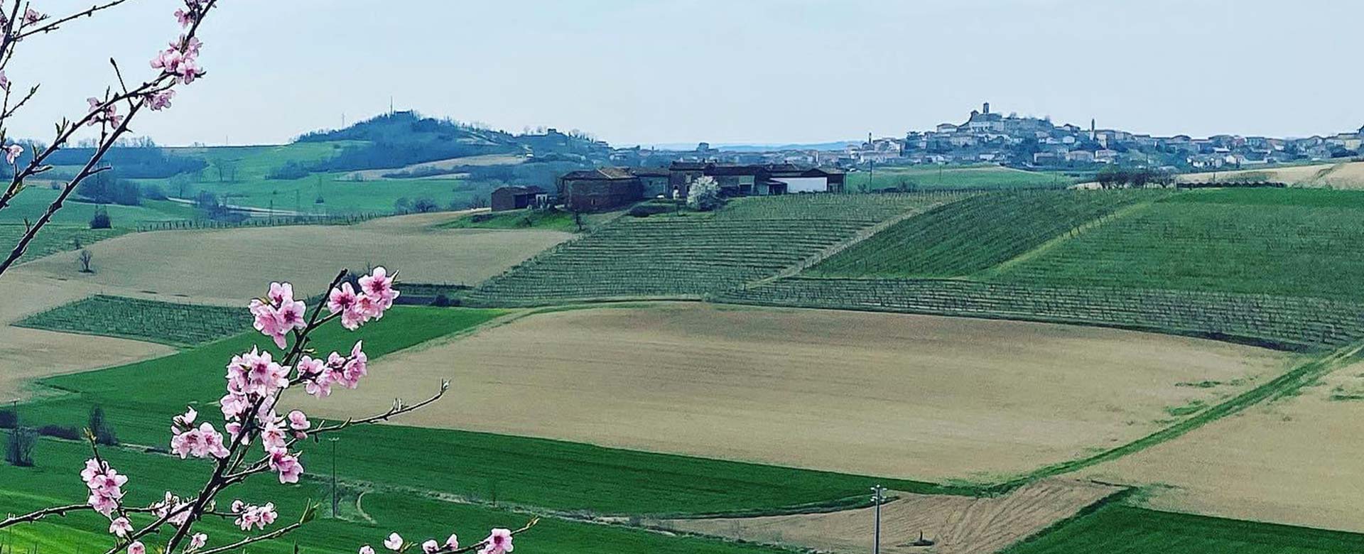 Il progetto “I Parcellari” nel Monferrato piemontese 