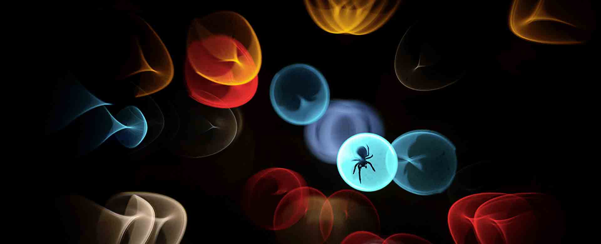 Wildlife Photographer of the Year 2025