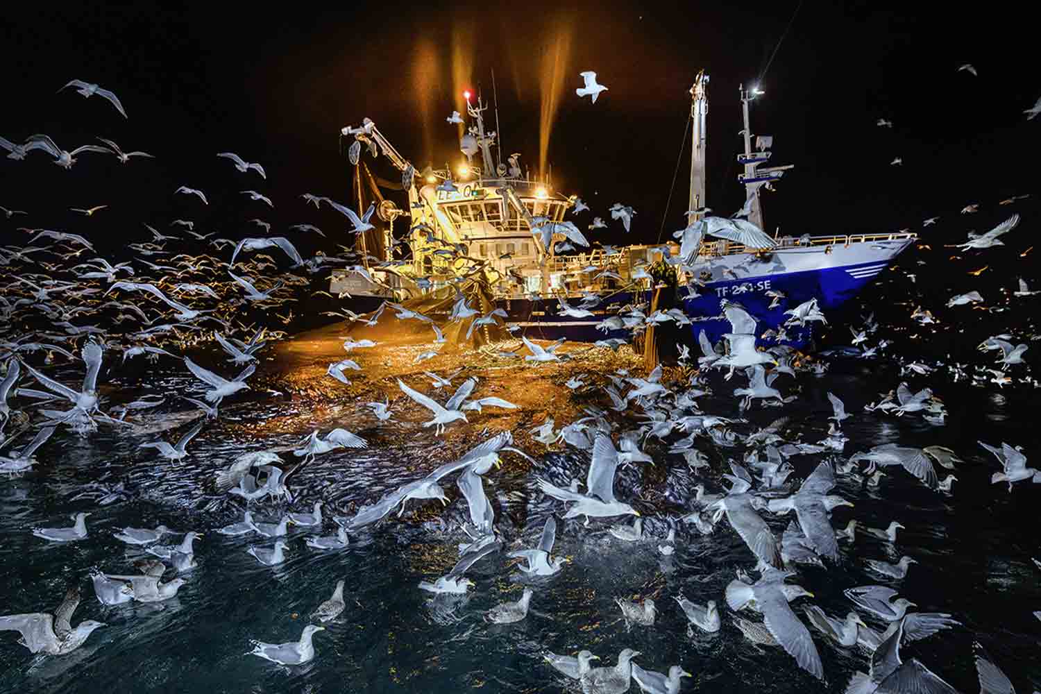 Wildlife Photographer of the Year 2025