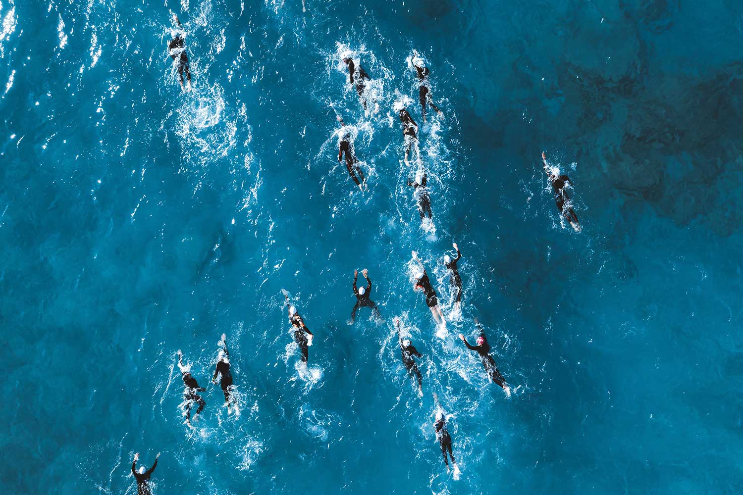 Dominate The Water 2025