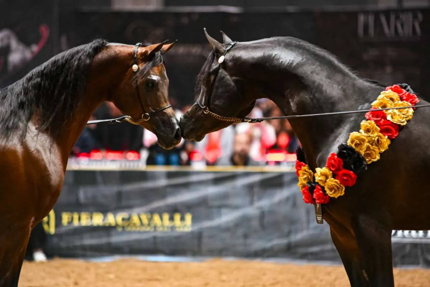 Fieracavalli
