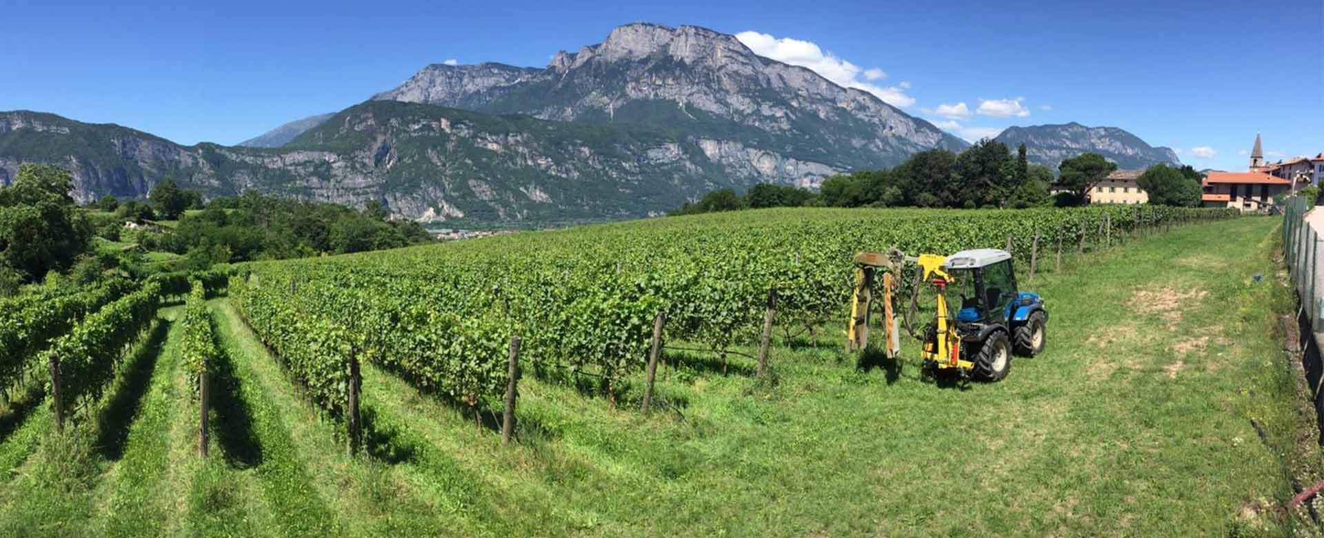 Cantine Monfort, Lavis, Trentino