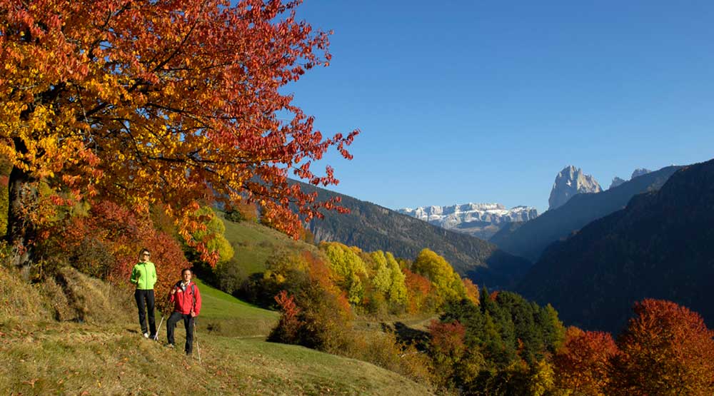 Foliage a Laion (BZ)