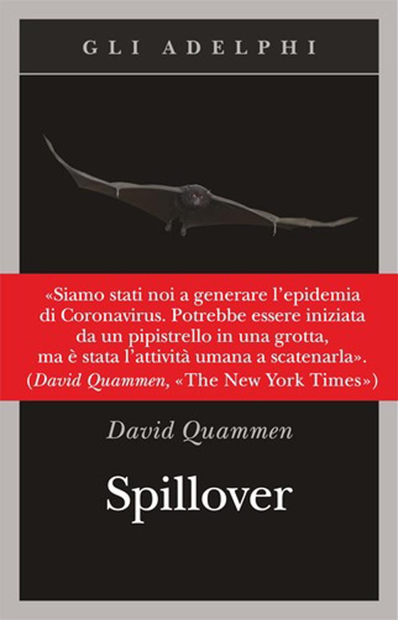 didascalia immagine
