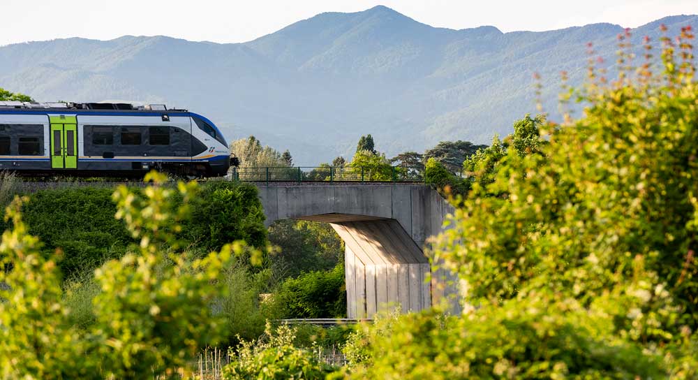 Treno regionale su un ponte