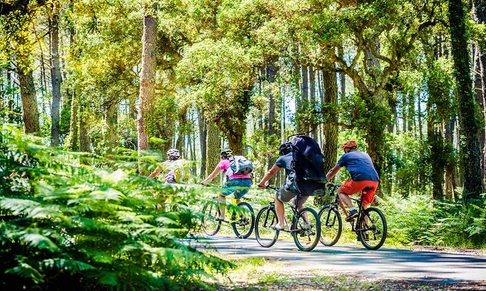 Gruppo di persone in bici