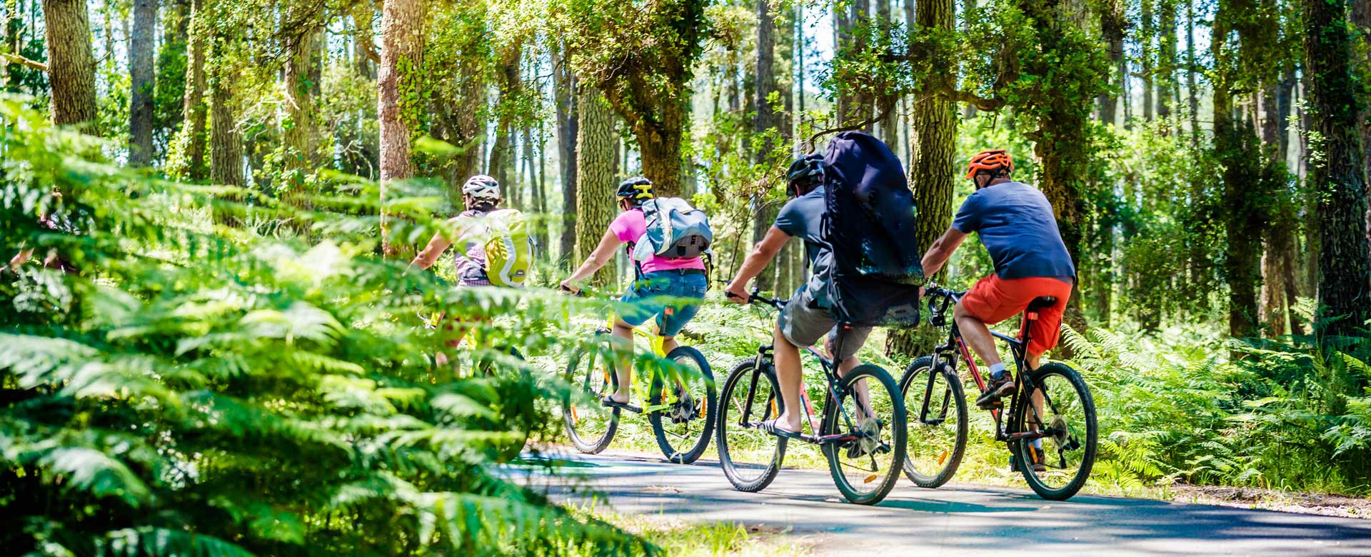 Ciclisti in bici in un bosco