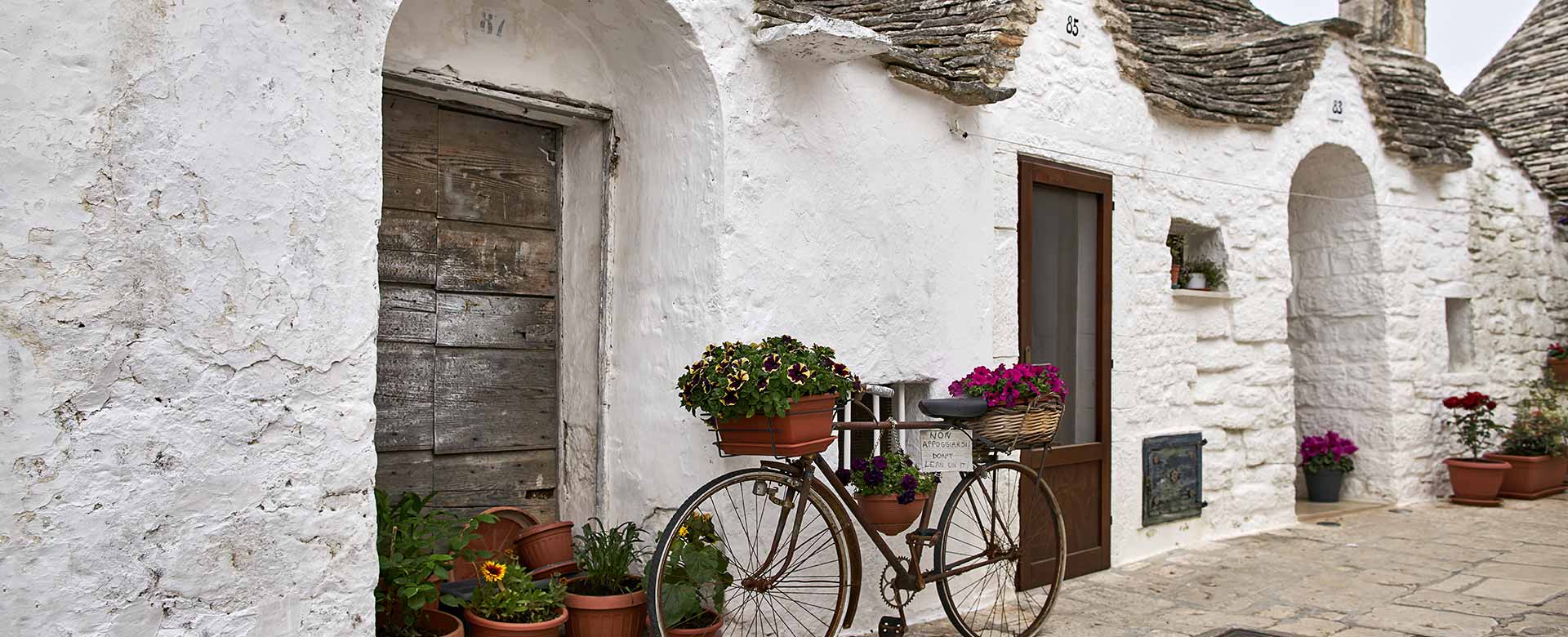 notizie telenorba rai ricco mediorientale in salento in bicicletta