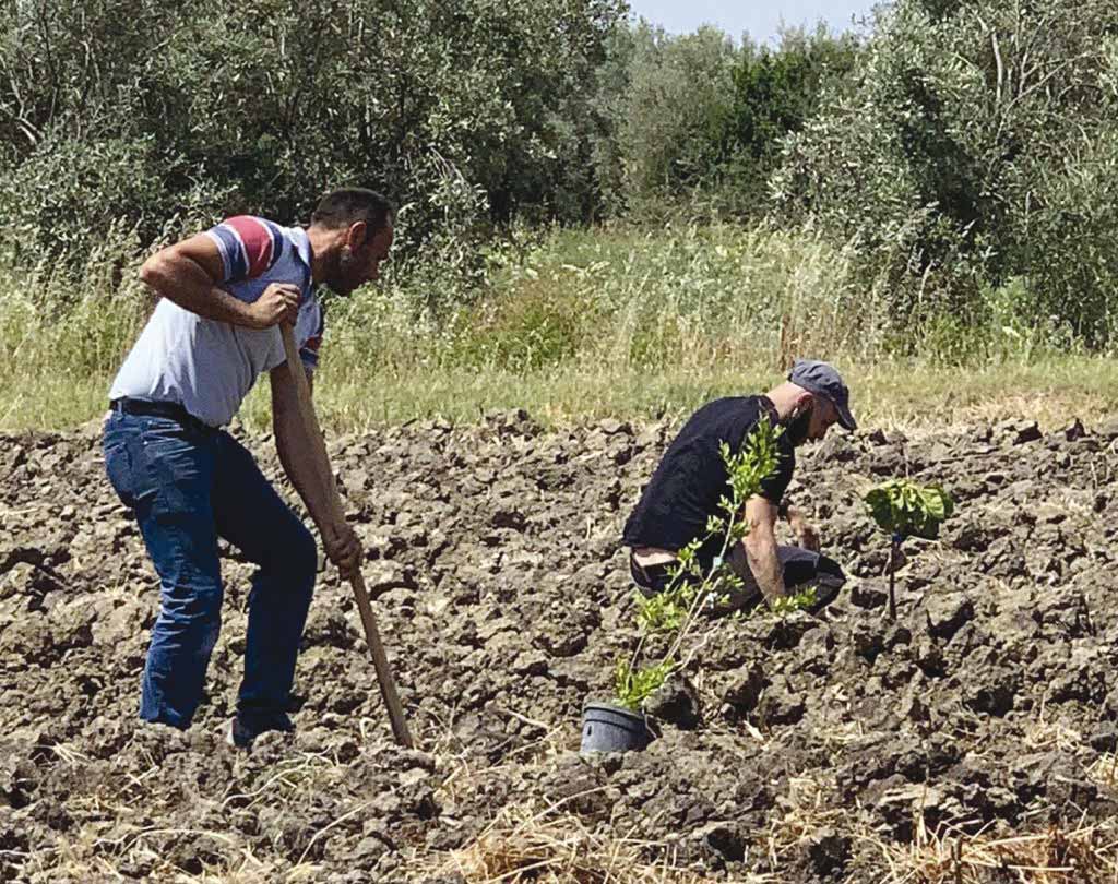 Operatori dell’azienda agricola Ciuri di Catania al lavoro