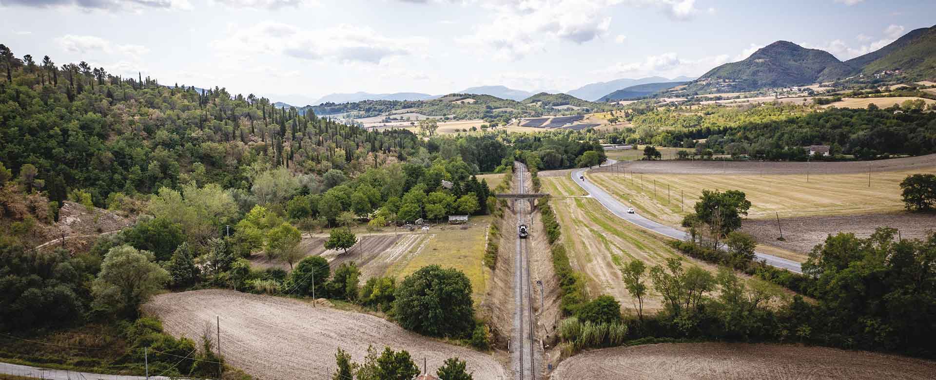 Le pinete del Monte Doglio lungo il rettilineo della ferrovia prima della stazione di Bellisio Solfare (PU)