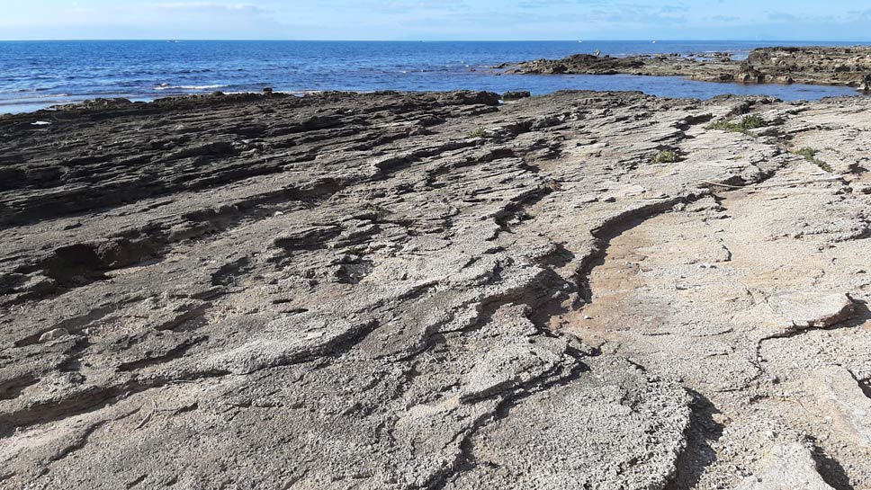 Le strutture deposizionali della spiaggia pleistocenica a Civitavecchia e Tarquinia