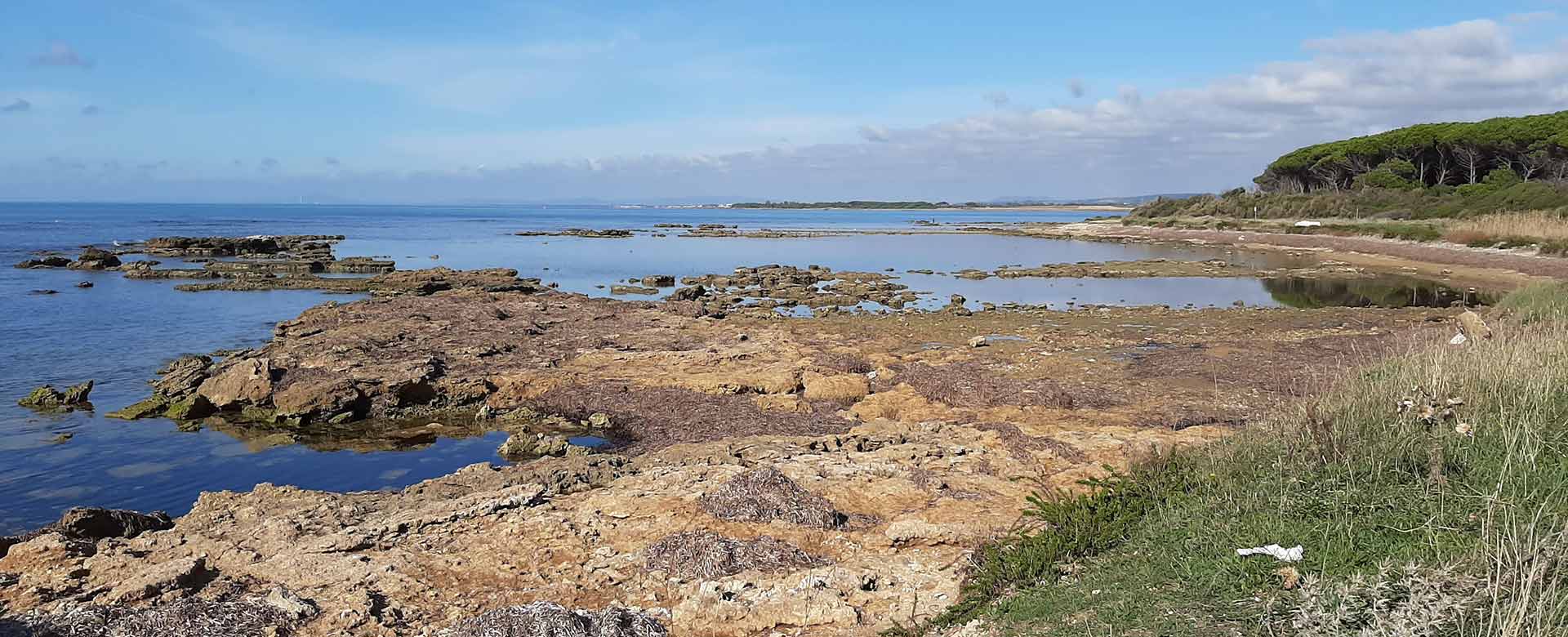 Il settore costiero del Monumento Naturale La Frasca a Civitavecchia e Tarquinia, Roma, Lazio
