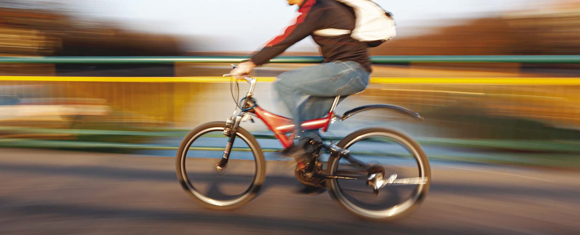 Bicicletta