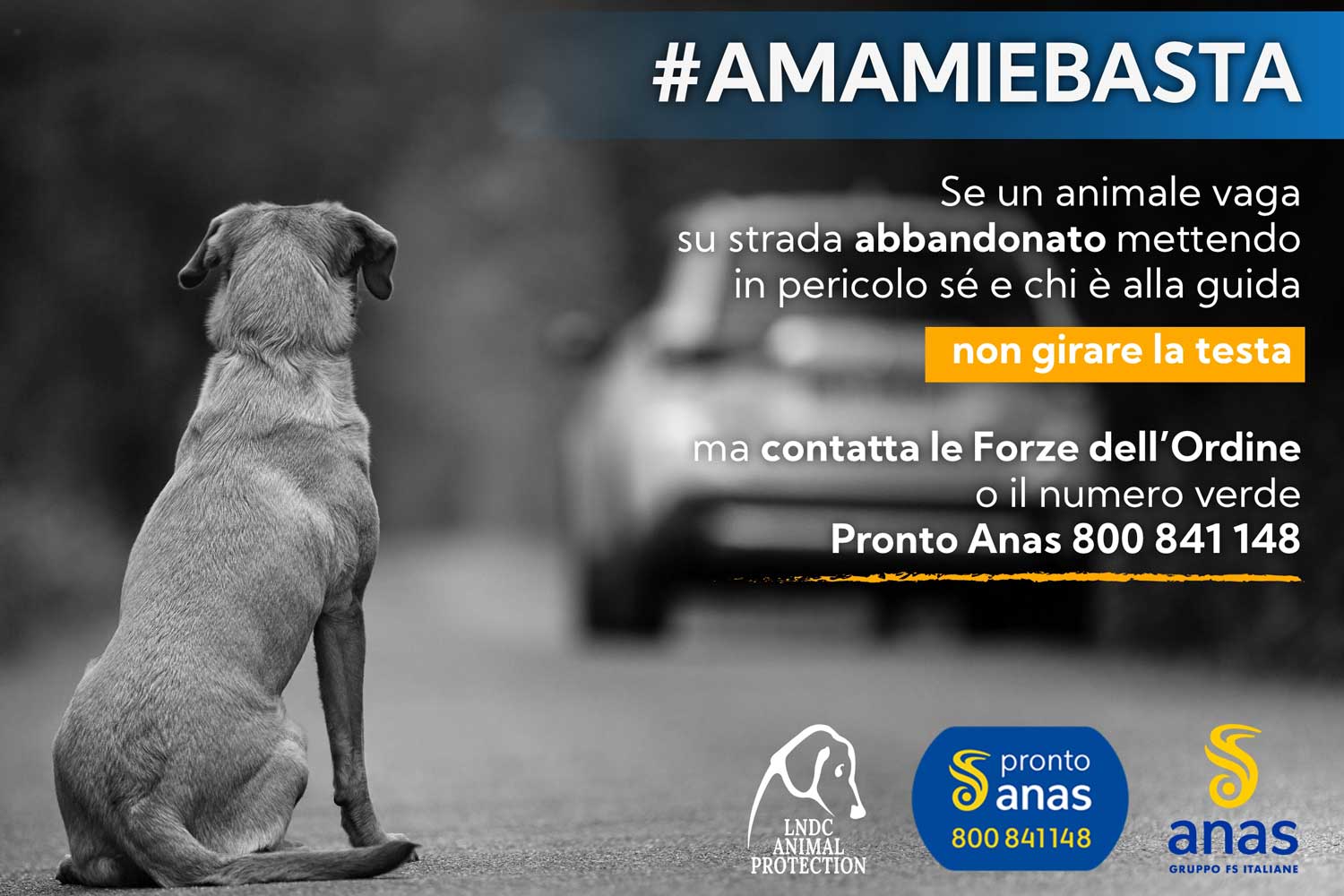 Locandina campagna #AMAMIeBASTA