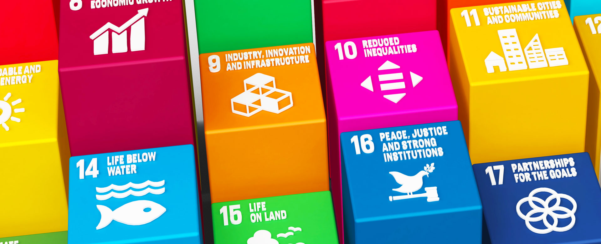 Illustrazione grafica degli obiettivi dell'Agenda ONU 2030