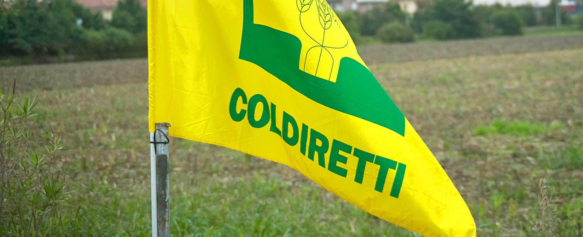 Bandiera coldiretti