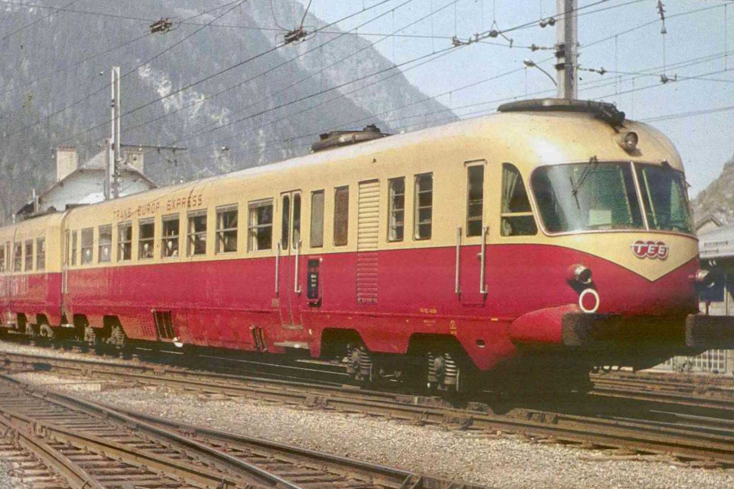 treno tee