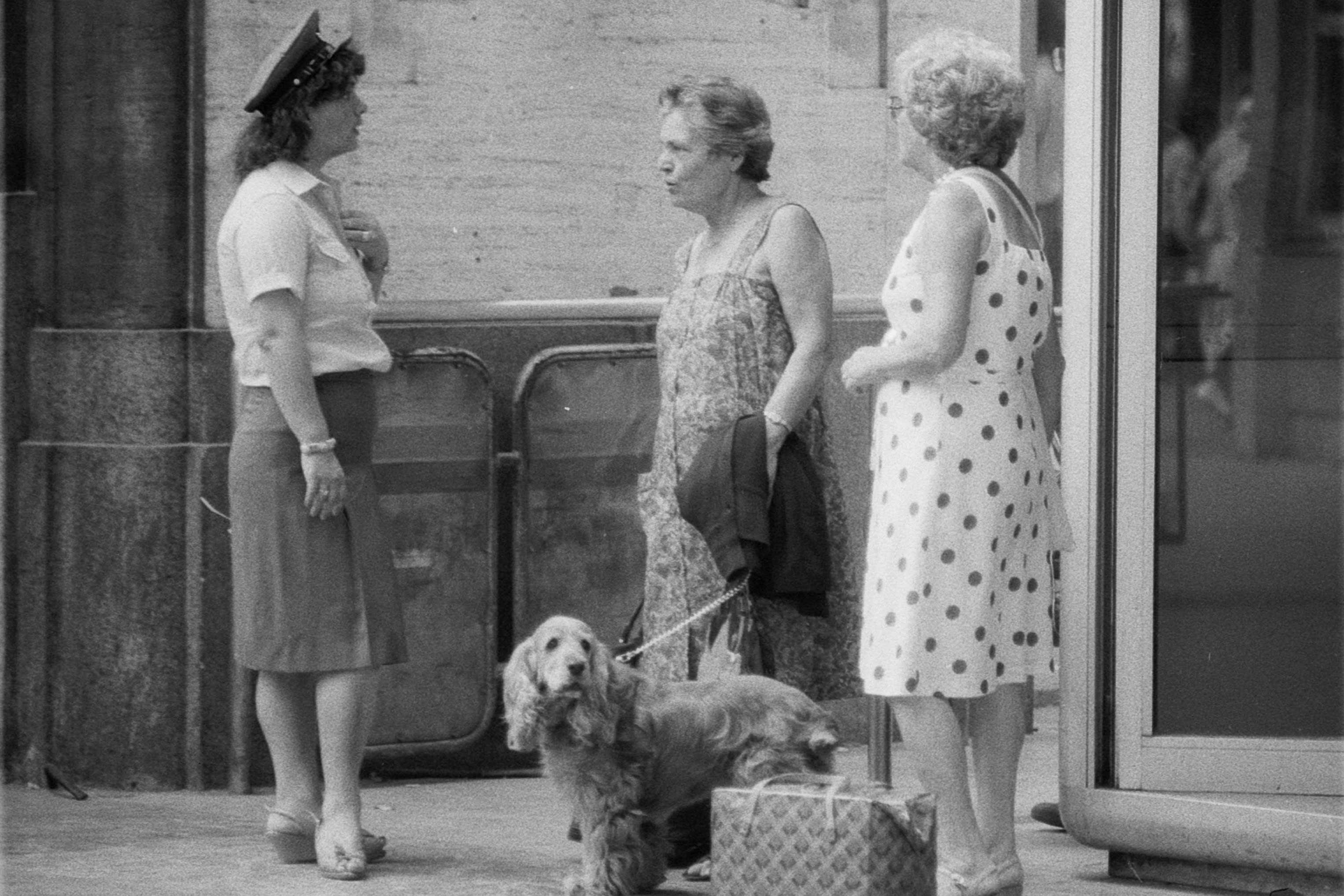 Due passeggere e una capotreno con un cagnolino negli anni '50