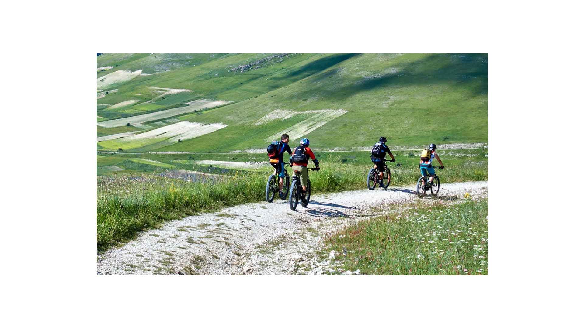 bici