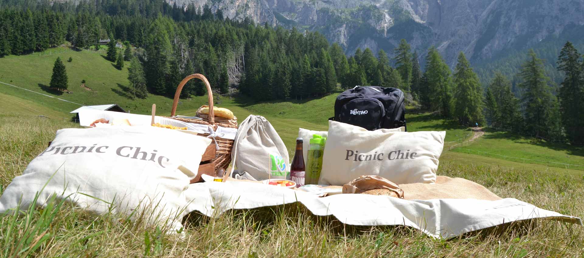 Immagine di Picnic Chic