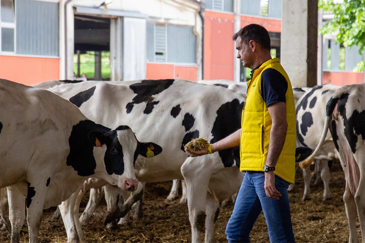 Prandini nella sua azienda agricola