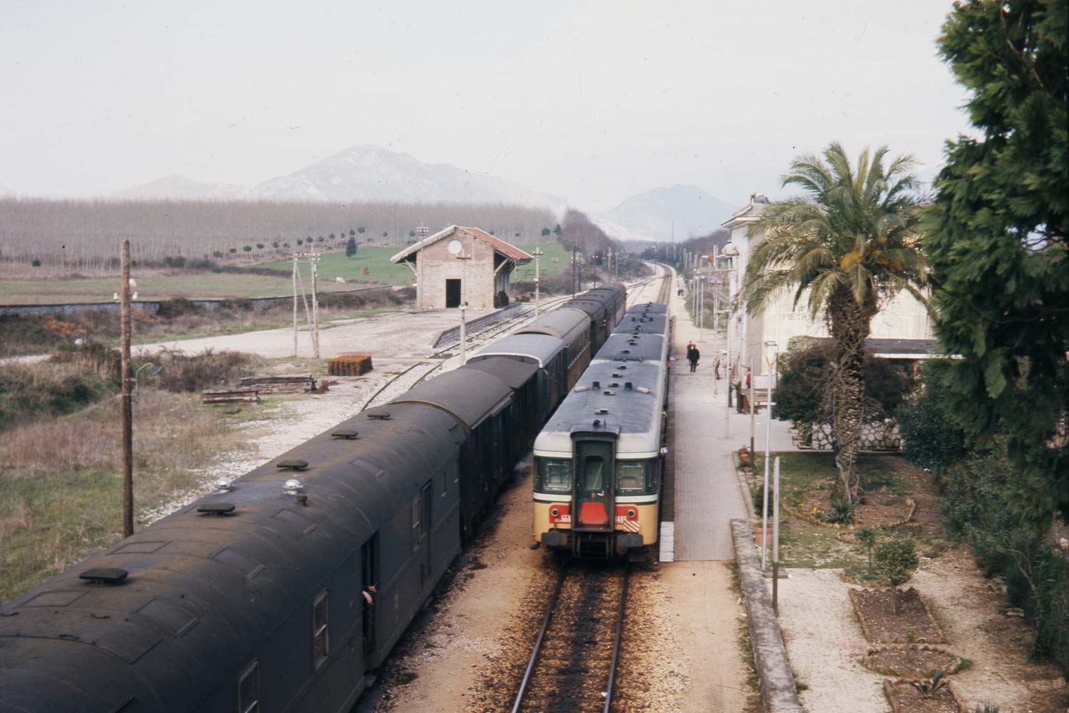 Micetta