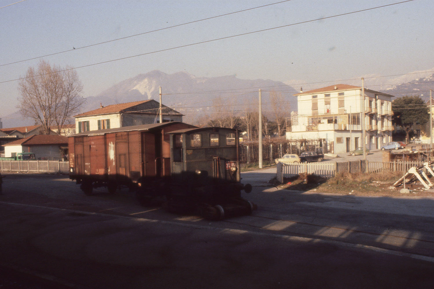 Sogliola