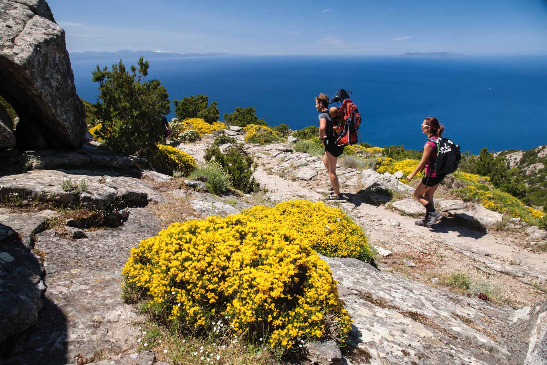 Isola d'Elba