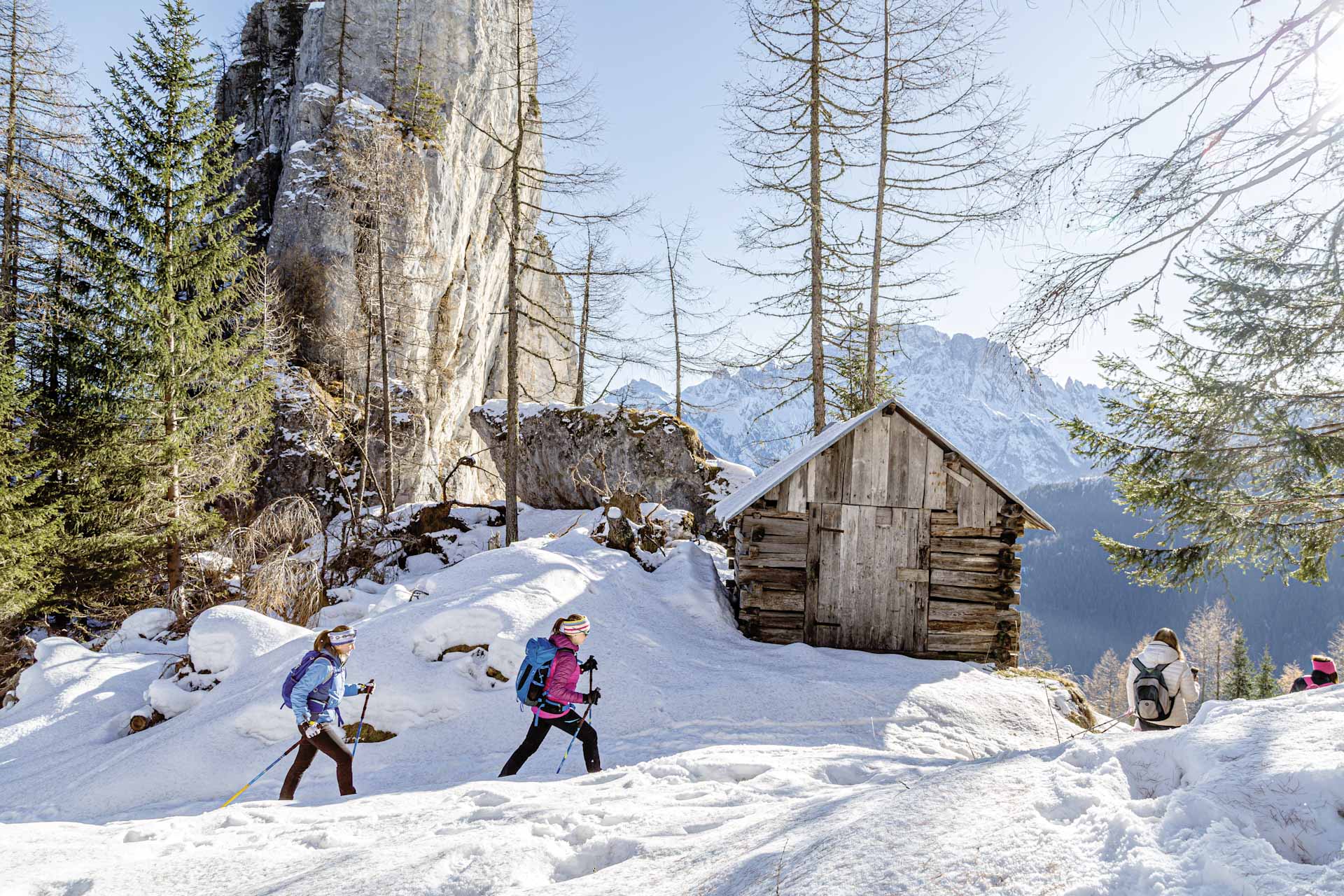 Dolomiti