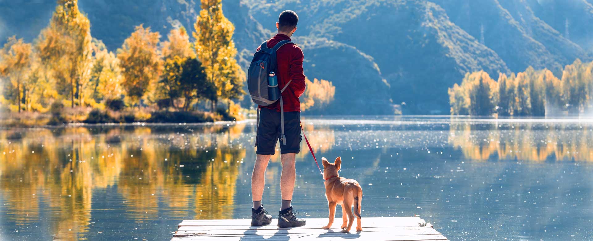 Giovane escursionista con zaino e cane al guinzaglio mentre guardano il paesaggio montano dal ponte di un lago