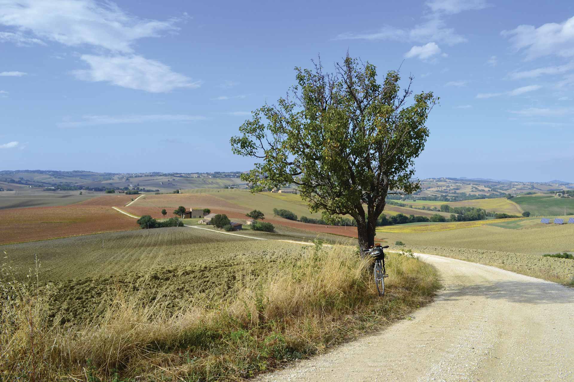 Colline marchigiane 