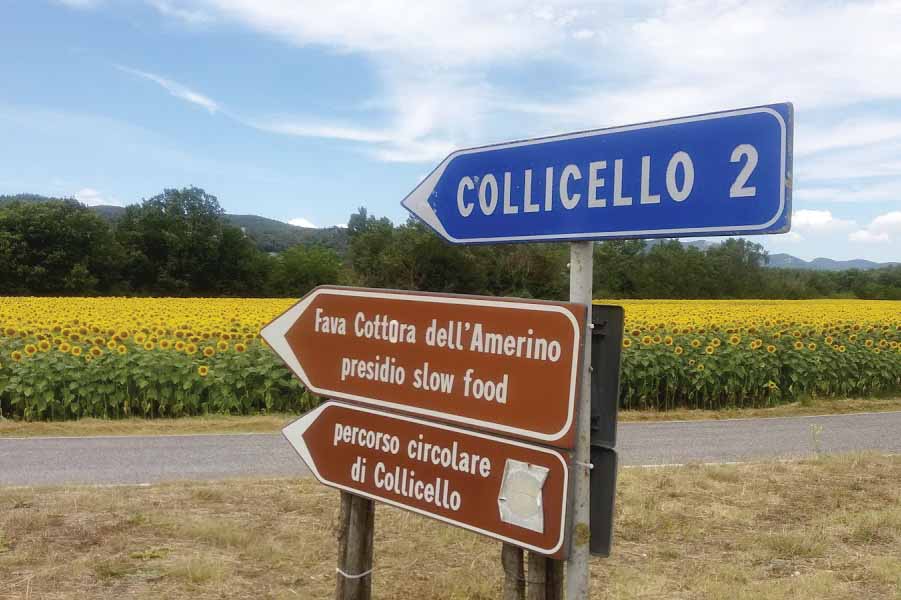 Cartelli stradali per Collicello