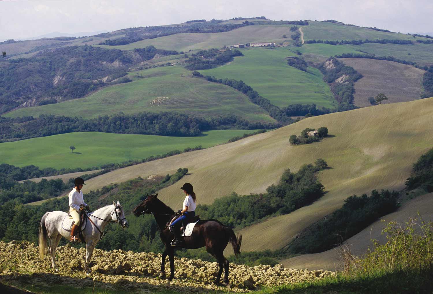 Tra San Quirico e Radicofani (SI) ©Associazione Europea Vie Francigene