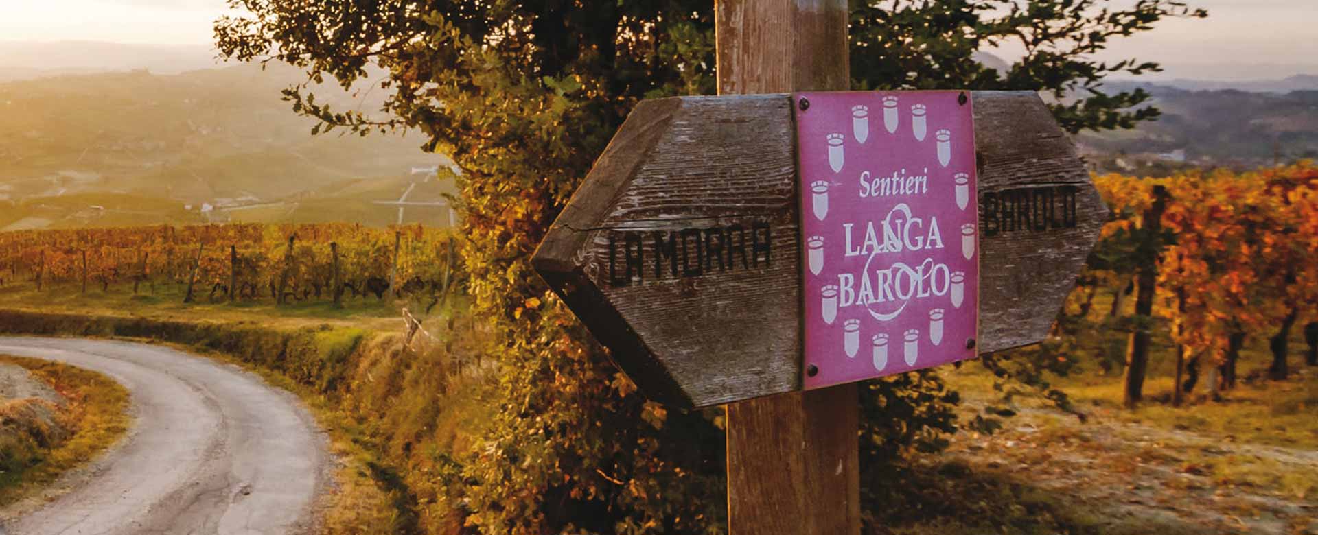 Vista panoramica dei vigneti delle Langhe in autunno