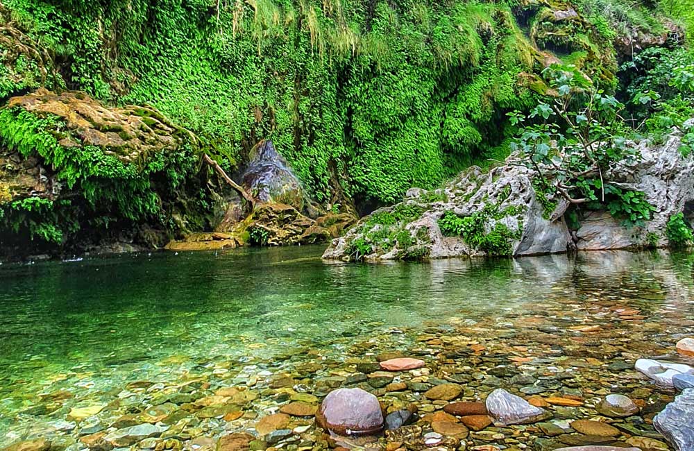 Sa Stiddiosa