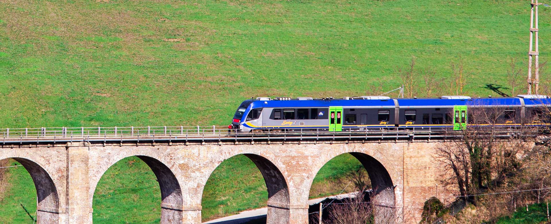 Foto di un treno del Regionale di Trenitalia sul ponte