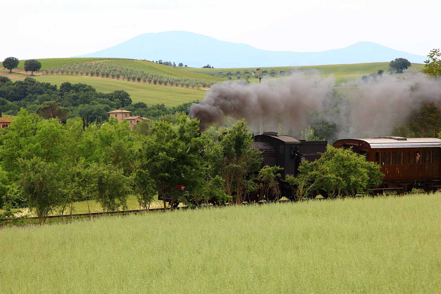 Una locomotiva a vapore del gruppo 685, con il Monte Amiata sullo sfondo