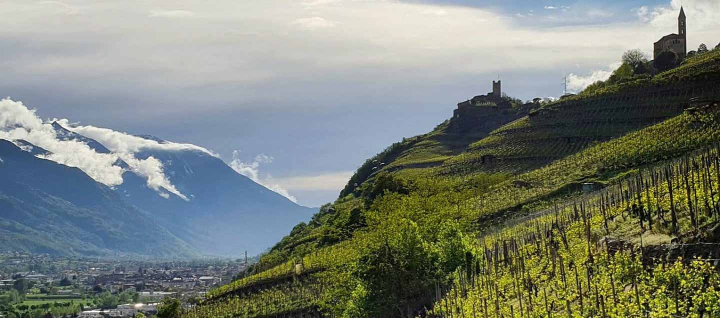 I vigneti di Mamete Prevostini in Valtellina