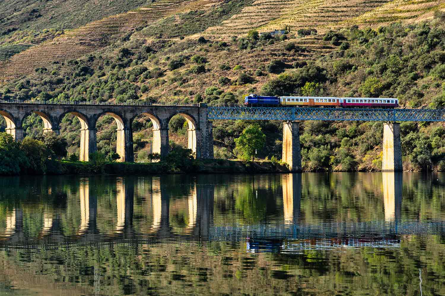Un treno storico su un ponte della linea del Douro, nel mezzo dei vigneti del vino porto