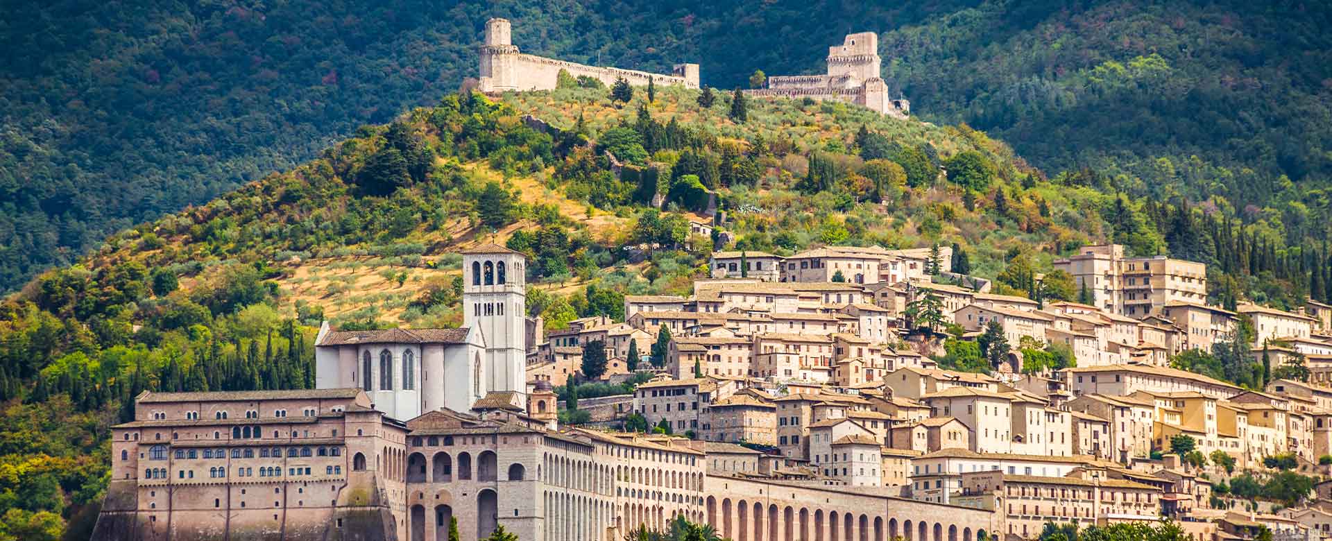 Assisi (PG)