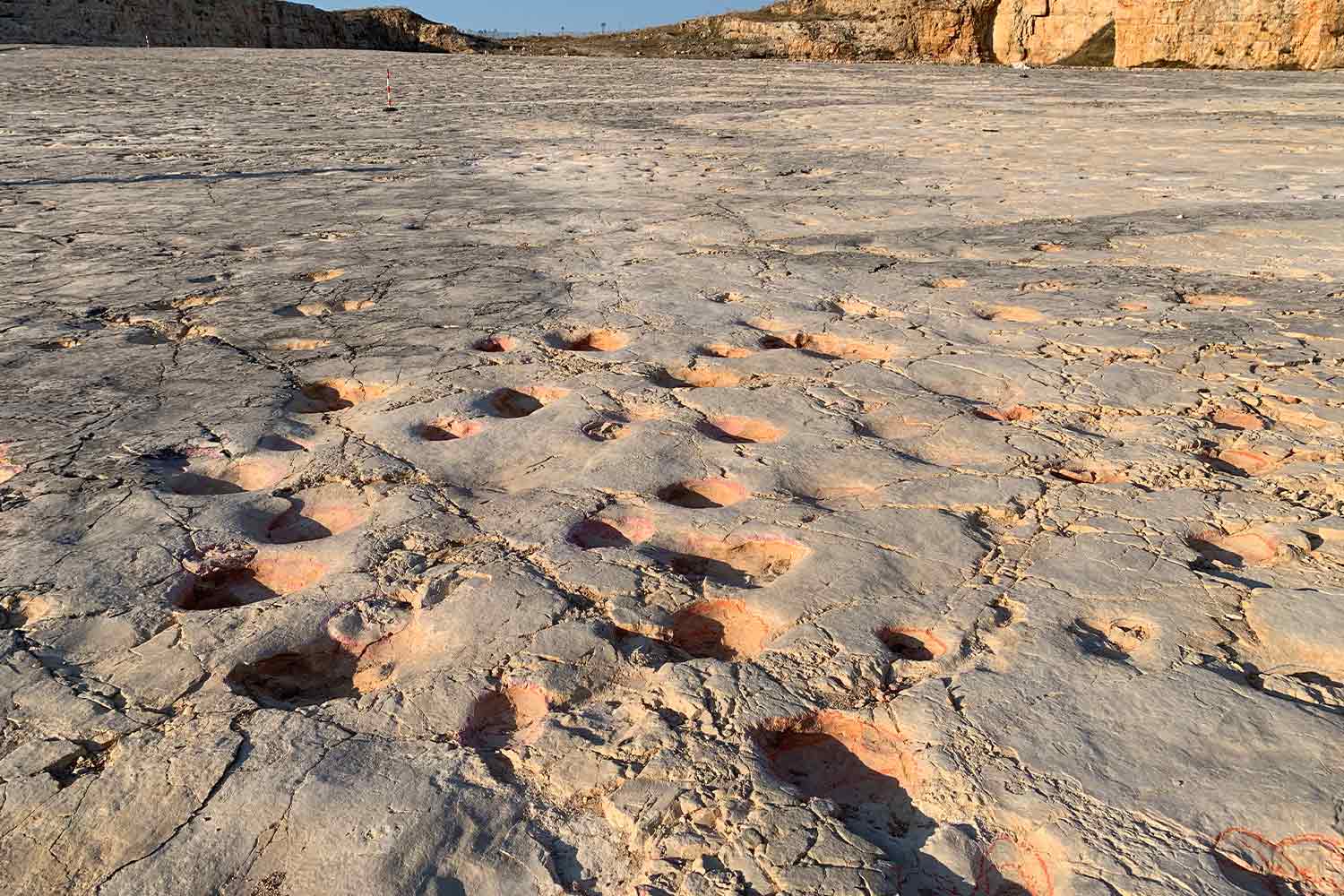 Le orme dei dinosauri rinvenute nel territorio di Altamura