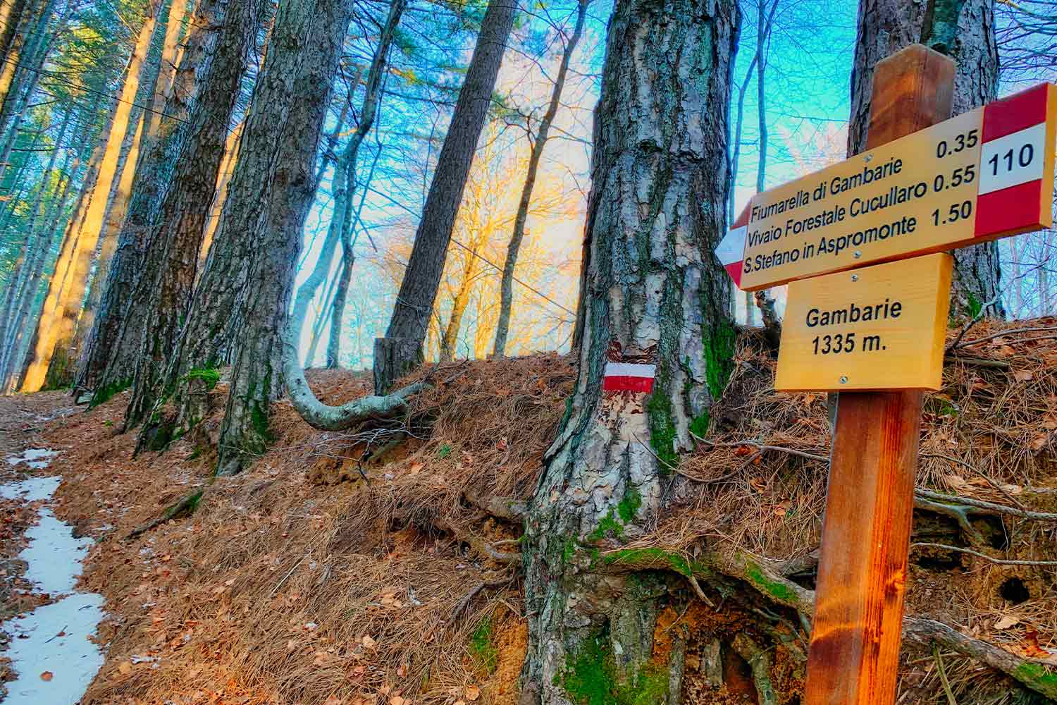 Parco nazionale dell'Aspromonte (RC)