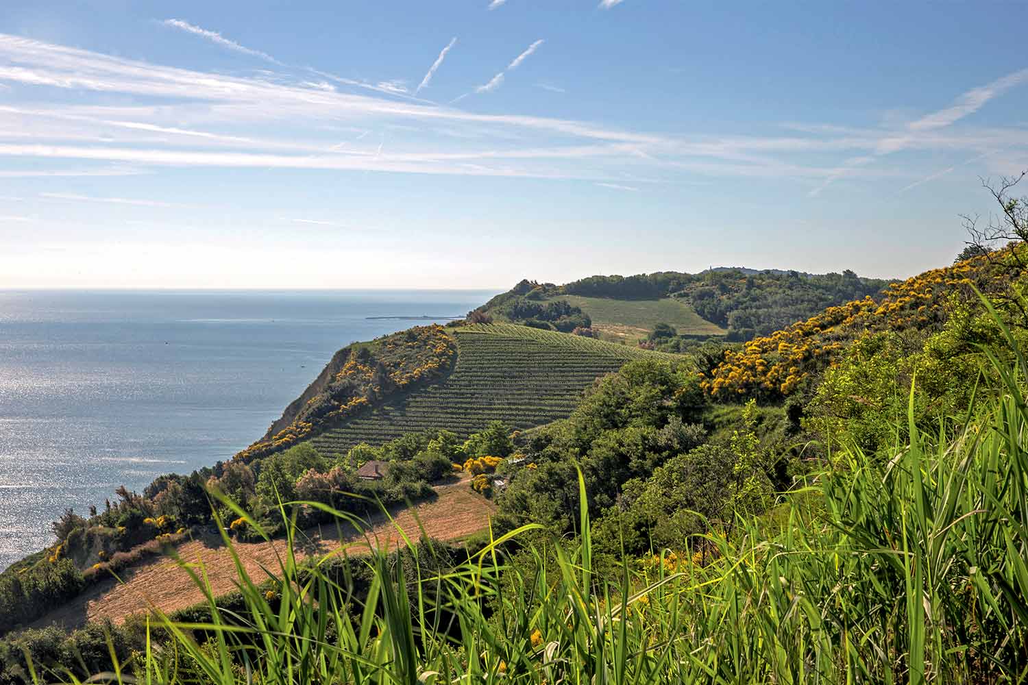 Pesaro Parco San Bartolo - panorama falesia vicino Fiorenzuola di Focara