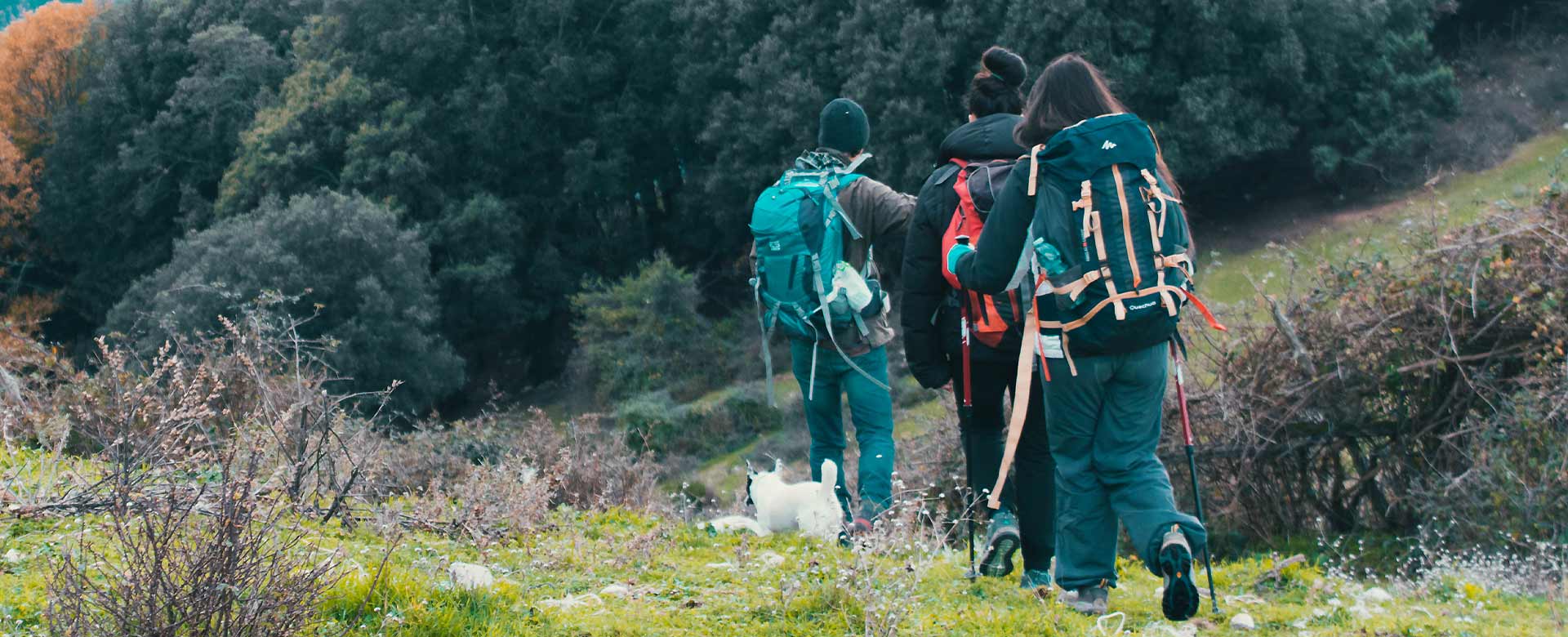 Tre escursionisti e un cane nel bosco