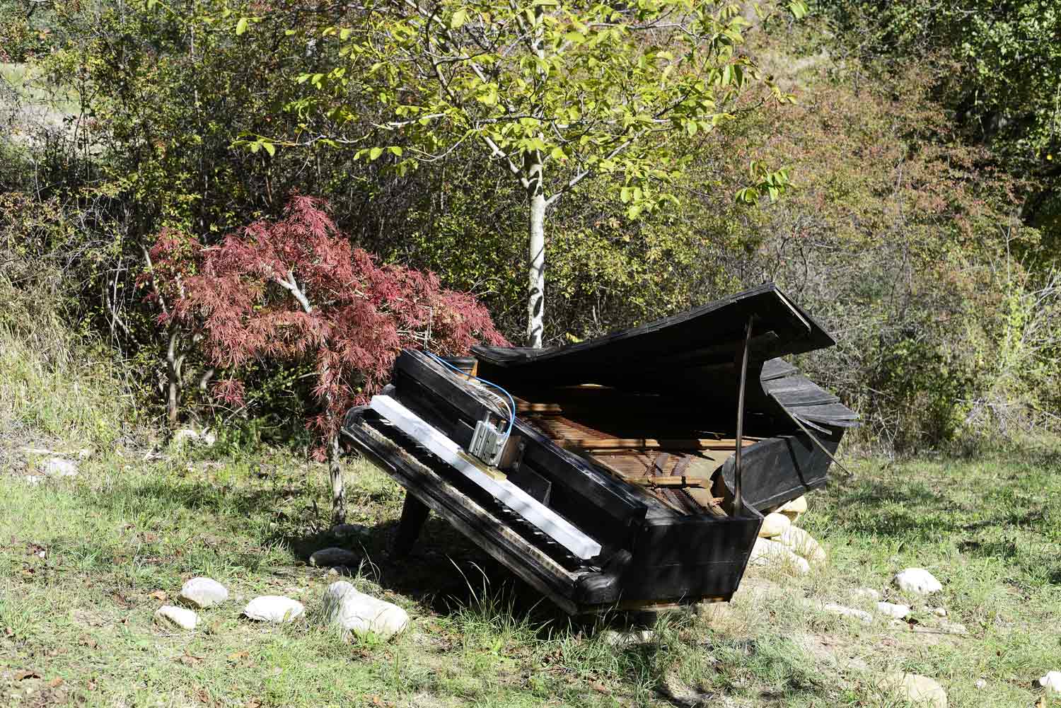Pian de Pian Piano (2017) di Alvin Curran