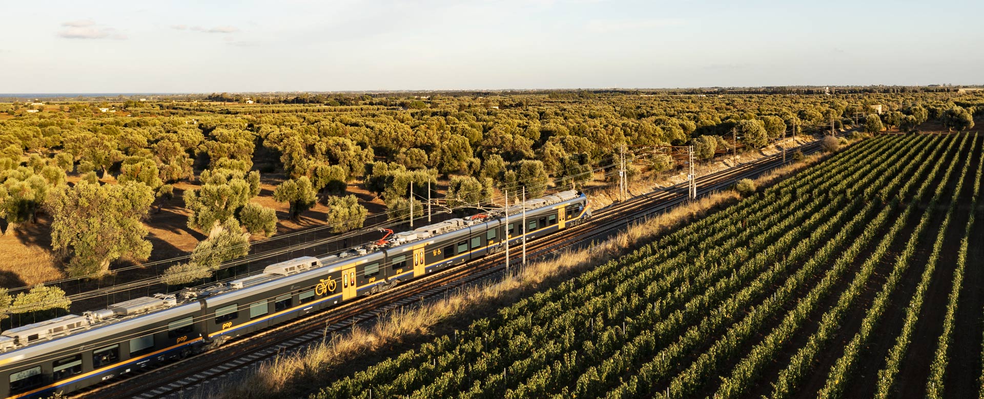 CdS Regione Umbria e Trenitalia