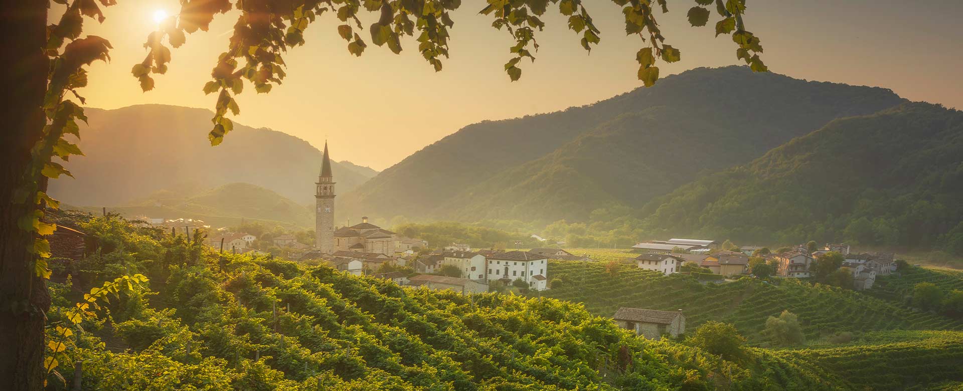 La vista sui ciglioni delle Colline del Prosecco (Treviso)